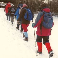 Thursday Amble in snow