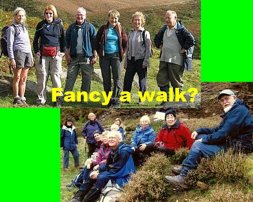 Fancy joining us for a walk? group shot