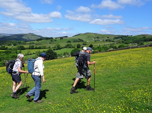 Ascending Ridgewayside