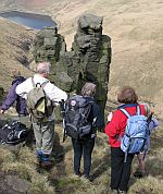 Plus members look at Trinicle